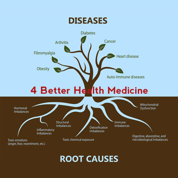 Functional medicine graphic